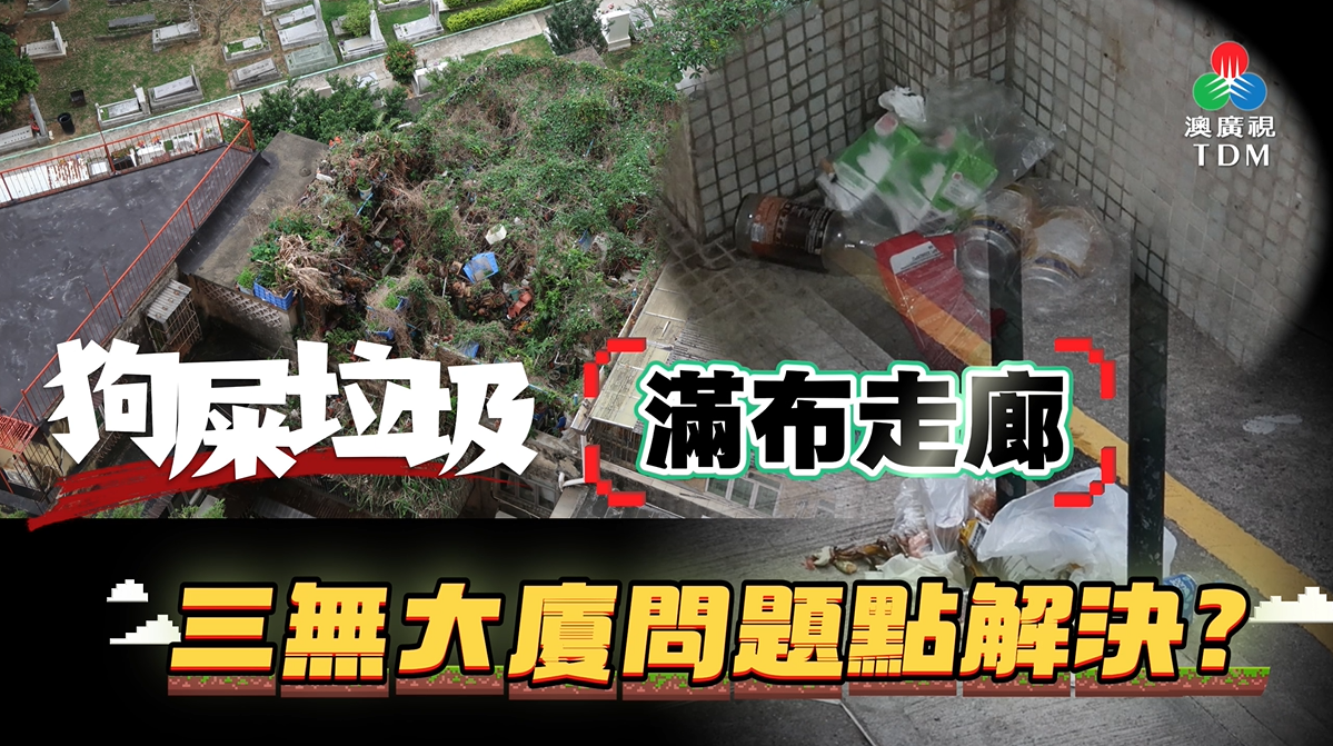 《澳門講場特派員》2026年4月6日
