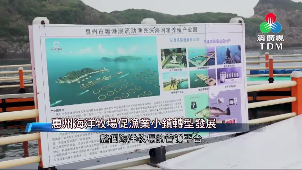 澳廣視新聞｜惠州海洋牧場促漁業小鎮轉型發展｜惠州海洋牧場促漁業小鎮轉型發展