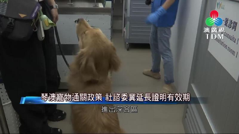 澳廣視新聞｜琴澳寵物通關政策 社諮委冀延長證明有效期｜